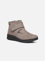 WESTLAND, Stiefelette Calais 53, Taupe in taupe, Schnürschuhe für Damen