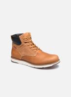 Boots en enkellaarsjes JAX PLUS by 