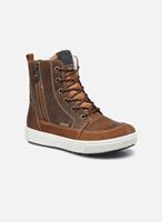 Primigi, Winter-Stiefelette Barth 28 Gtx in mittelbraun, Stiefel für Jungen