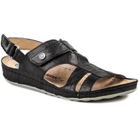 dr.brinkmann Dr. Brinkmann 710633  Schwarz 1