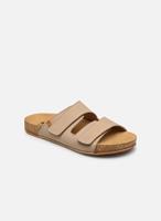EL NATURALISTA Damen  Pantoletten Balance N5792T Grau  Salino Textil Pantoletten grau Damen 