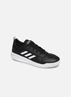 Lage Sneakers adidas TENSAUR K