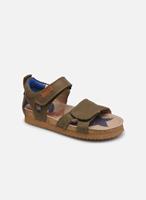 Shoesme Sandalen Bio Sandal BI21S096 by 