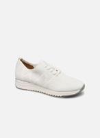 caprice 9-24700-26 Pebble Knit 259