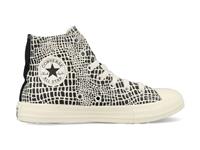 Converse All Stars Chuck Taylor 670460C Wit