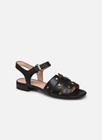 Sandalen D WISTREY SANDALO C by Geox