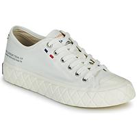 Palladium  Sneaker PALLA ACE CVS