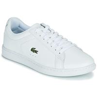Lacoste  Sneaker CARNABY EVO BL 21 1 SFA