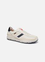 Lage Sneakers Pikolinos -