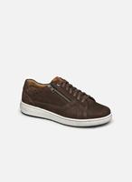 Josef Seibel David 07 Schnürschuhe anthrazit Herren 