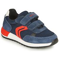 GEOX Sneaker Halbschuhe blau/rot Junge 