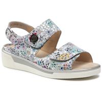 Ara 12-17446-75 Sasso