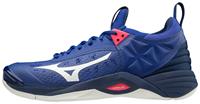   Mizuno