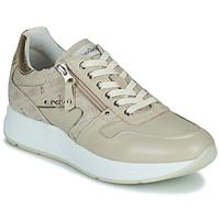 Hoge Sneakers NeroGiardini E218051D