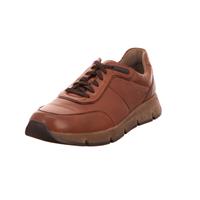 Gabor, SchnÃ¼rschuhe in dunkelbraun, SchnÃ¼rschuhe fÃ¼r Herren