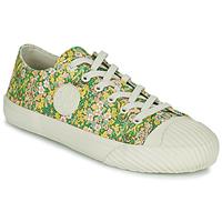 Lage Sneakers Ted Baker TANTAN