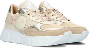 Goosecraft Beige  Lage Sneakers Aspen Women