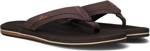 Reef Cushion Dawn Flip-Flop Heren