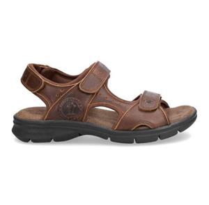 Panama Jack Salton basics