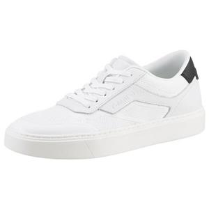 Calvin Klein Sneaker "COLE M 18T *I", mit Kontrastbesatz an der Ferse