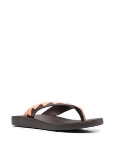 Ancient Greek Sandals Ammos leren teenslippers - Bruin