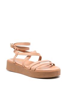 Ancient Greek Sandals Aristea sandalen met gesp - Beige