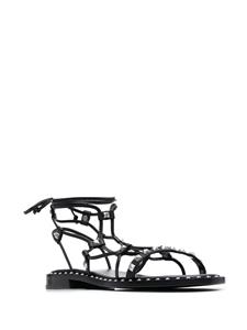 Ash Paloma gladiator sandalen - Zwart