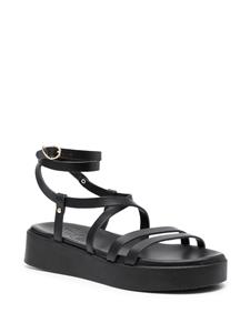 Ancient Greek Sandals Aristea sandalen met bandjes - Zwart
