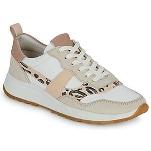 Clarks Lage Sneakers  DASHLITE JAZZ