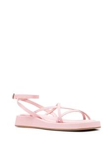 GIABORGHINI Sandalen met plateauzool - Roze