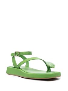 GIABORGHINI Sandalen met open neus - Groen
