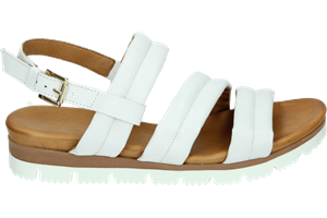 AQA Shoes A8366