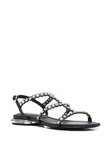 Ash Saphiro sandalen met studs - Zwart