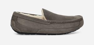 Ugg Ascot Pantoffels voor Heren in Grey  Leder