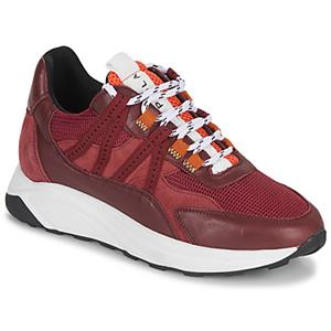 Piola Lage Sneakers  ICA