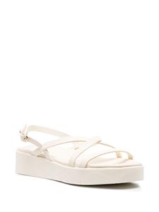 Ancient Greek Sandals Silia sandalen met gesp - Beige