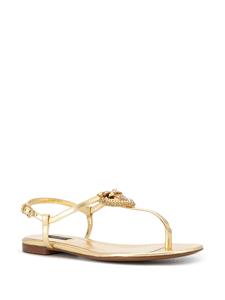 Dolce & Gabbana Devotion sandalen met T-bandje - Goud