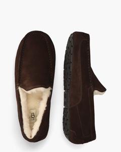 Ugg Ascot Donkerbruin s