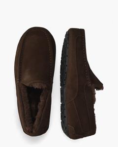 Ugg Ascot Donkerbruin s