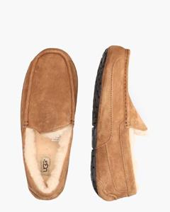 Ugg Ascot  Chestnut s