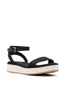 Tommy Hilfiger Sandalen met geborduurd logo - Zwart