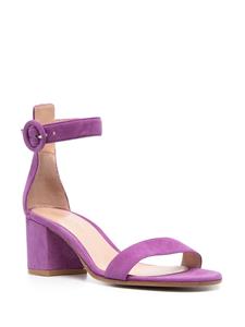 Gianvito Rossi Sandalen met enkelbandje - Paars