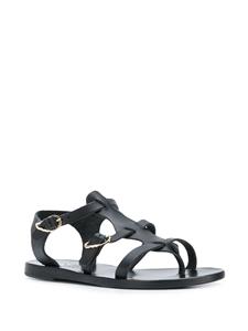 Ancient Greek Sandals Grace Kelly sandalen - Zwart