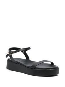 Ancient Greek Sandals Irida sandalen met gesp - Zwart