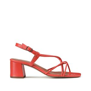 LA REDOUTE COLLECTIONS Sandalen in leer met brede hak