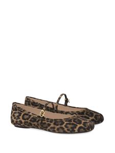 Gianvito Rossi Carla ballerina's met luipaardprint - Bruin