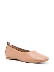 Senso Daphne IV leather ballerina shoes - Beige