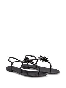 Giuseppe Zanotti Letizia floral-appliqué leather sandals - Zwart
