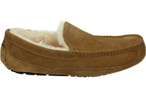 UGG ASCOT M