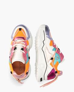 Dwrs Jupiter Scuba Multicolor